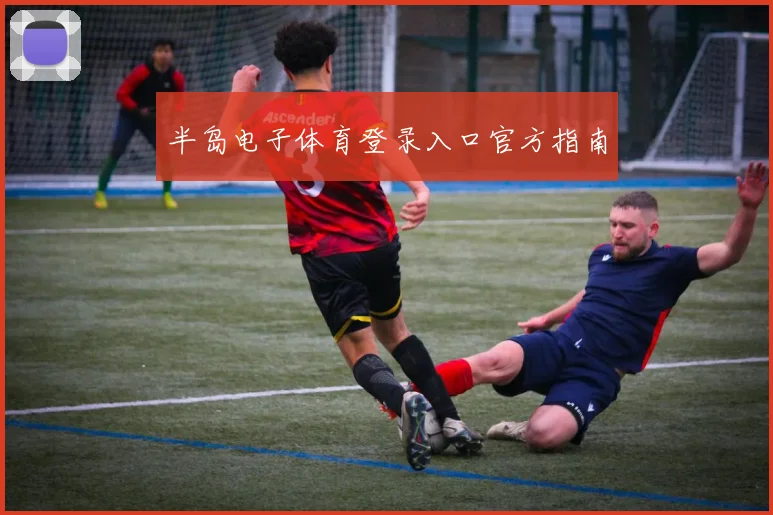 半岛电子体育登录入口官方指南