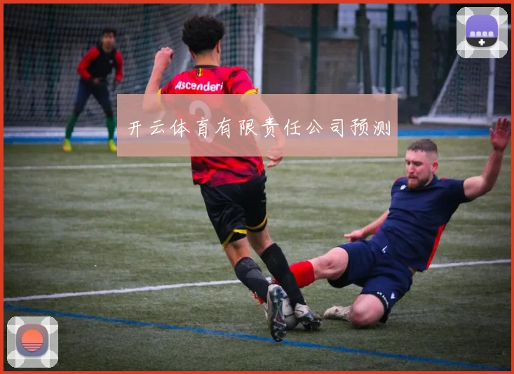 开云体育有限责任公司预测