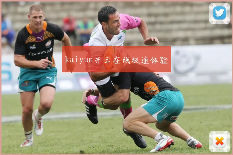 kaiyun开云在线极速体验