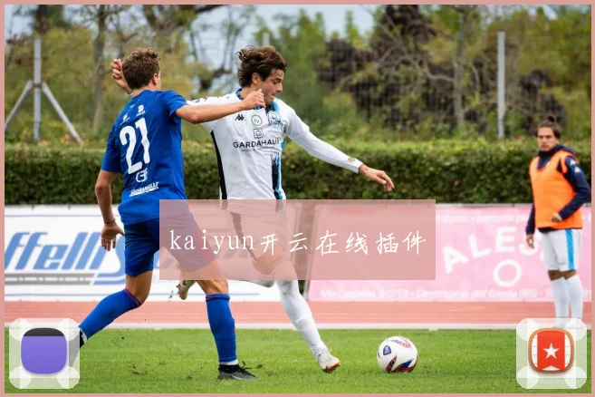 kaiyun开云在线插件