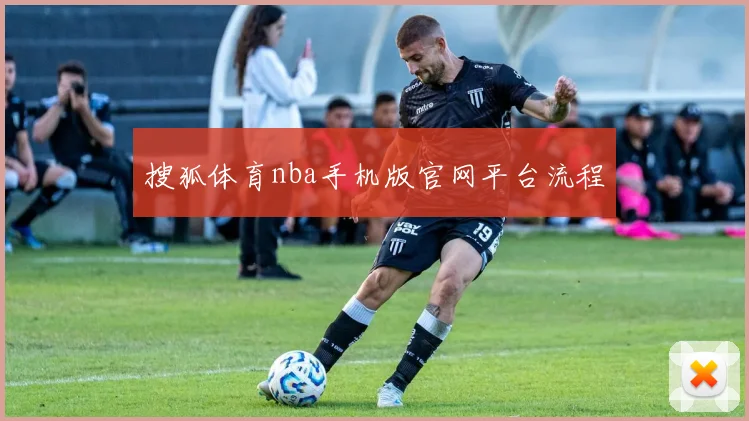 搜狐体育nba手机版官网平台流程