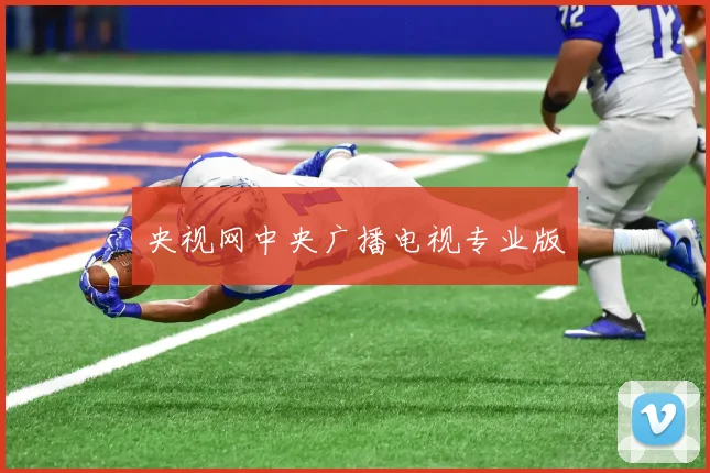 央视网中央广播电视专业版