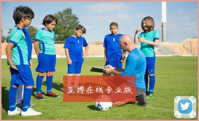 亚搏在线专业版