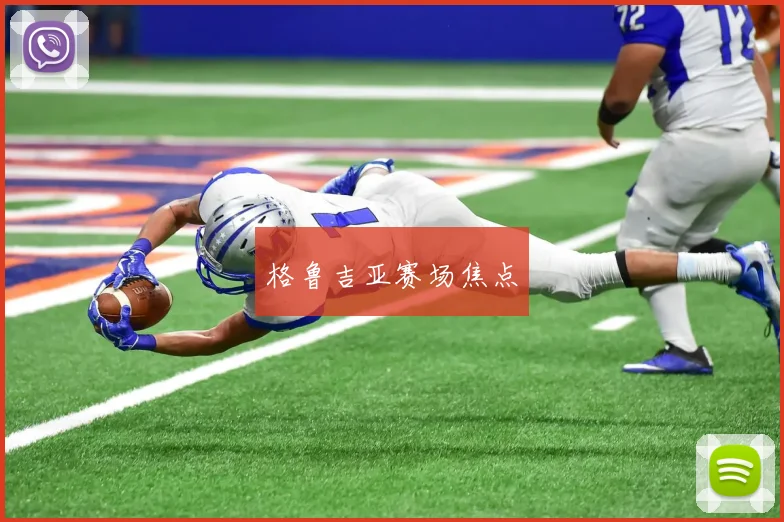 格鲁吉亚赛场焦点
