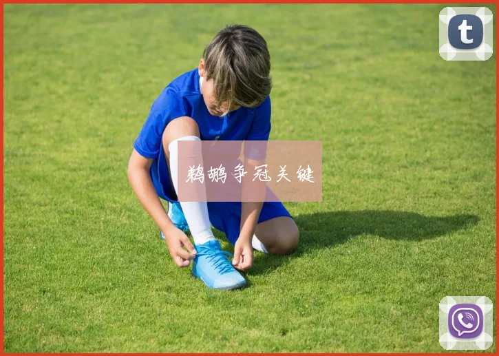鹈鹕争冠关键