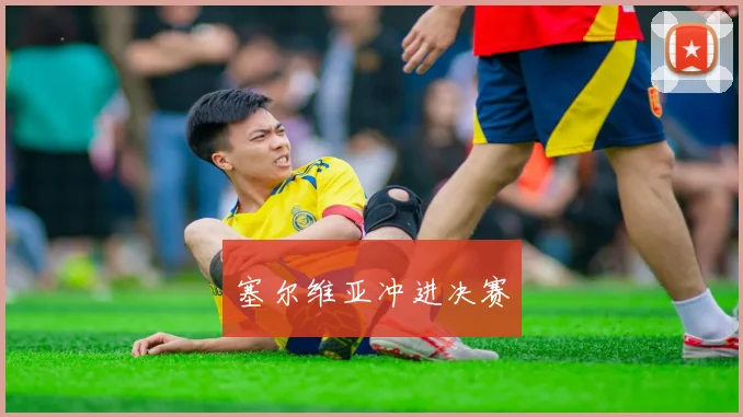 塞尔维亚冲进决赛