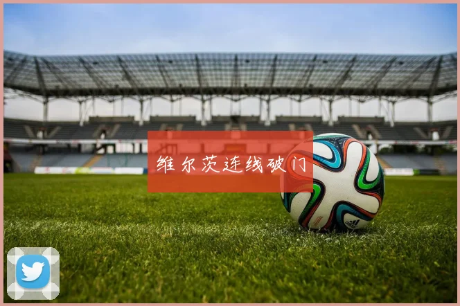 维尔茨连线破门