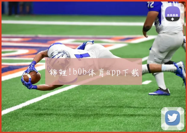 锦鲤!b0b体育app下载