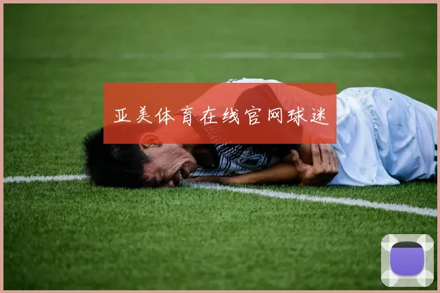 亚美体育在线官网球迷