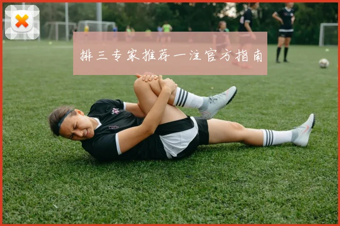 排三专家推荐一注官方指南