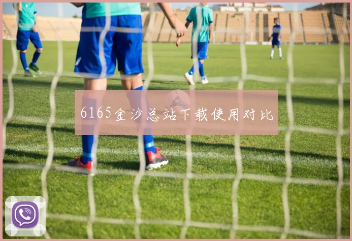 6165金沙总站下载使用对比