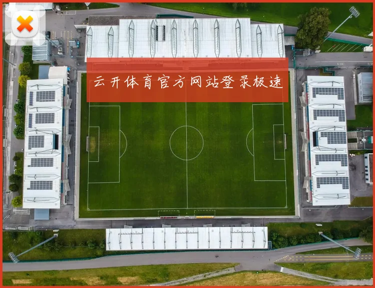 云开体育官方网站登录极速