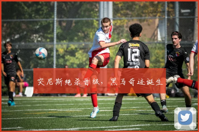突尼斯绝杀晋级，黑马奇迹诞生