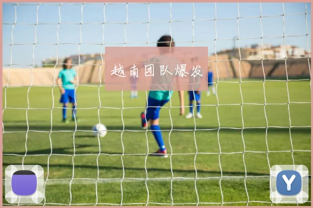 越南团队爆发