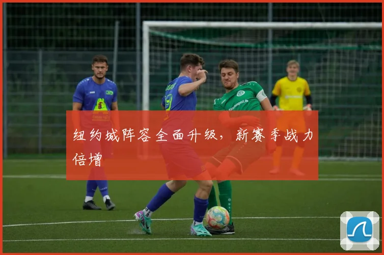 纽约城阵容全面升级，新赛季战力倍增