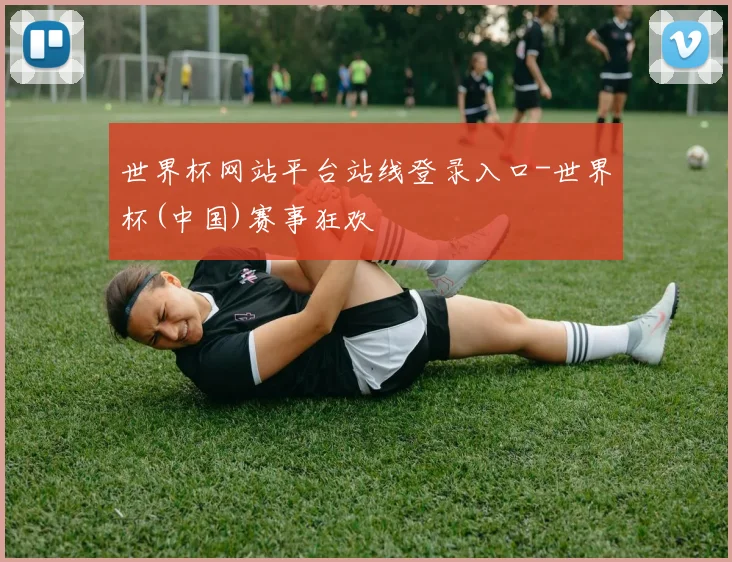 世界杯网站平台站线登录入口-世界杯(中国)赛事狂欢