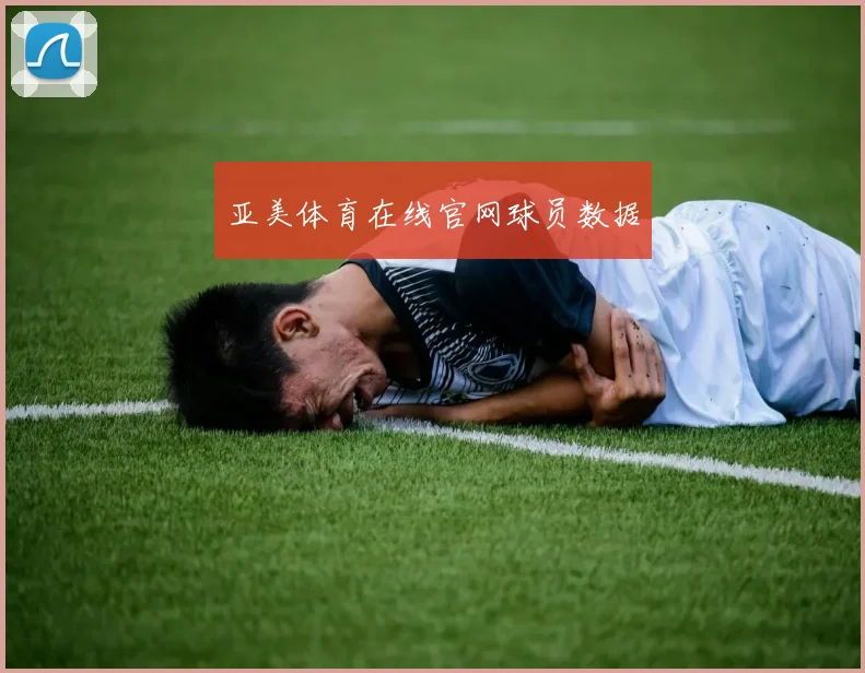 亚美体育在线官网球员数据