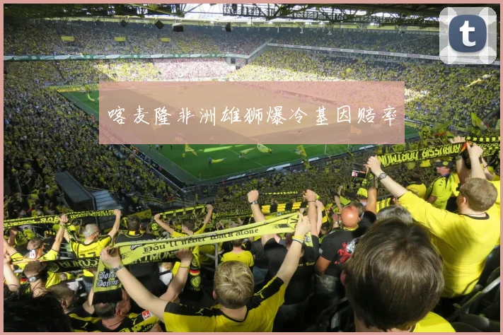 喀麦隆非洲雄狮爆冷基因赔率