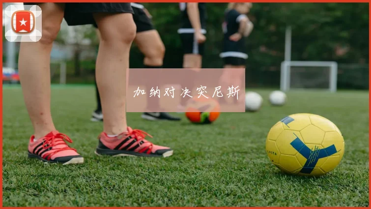 加纳对决突尼斯