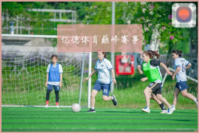 亿德体育巅峰赛事