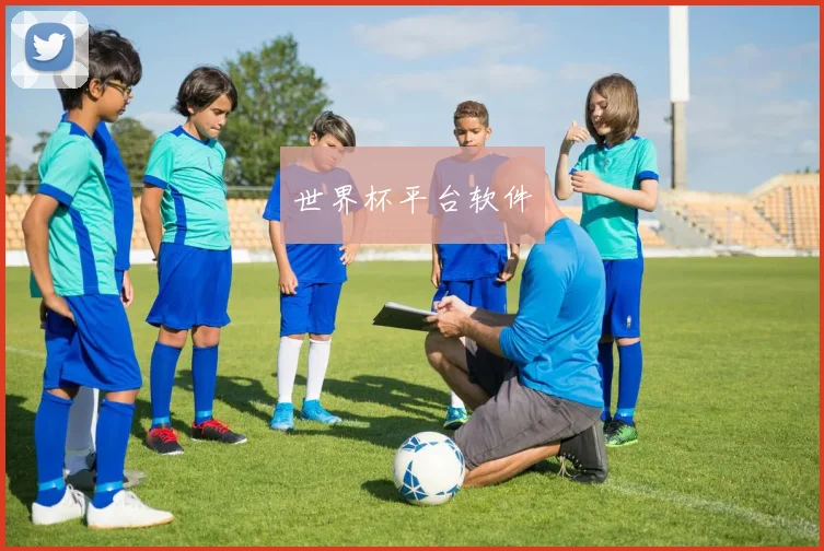 世界杯平台软件