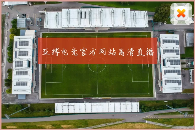 亚搏电竞官方网站高清直播