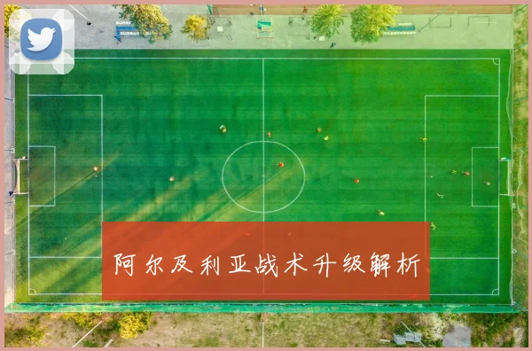 阿尔及利亚战术升级解析
