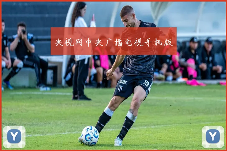 央视网中央广播电视手机版