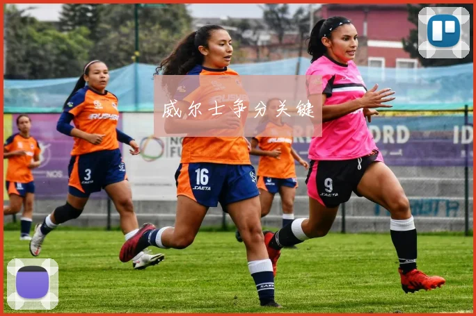 威尔士争分关键