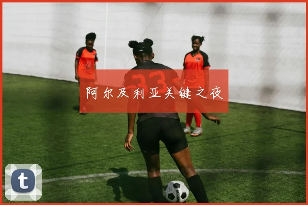 阿尔及利亚关键之夜