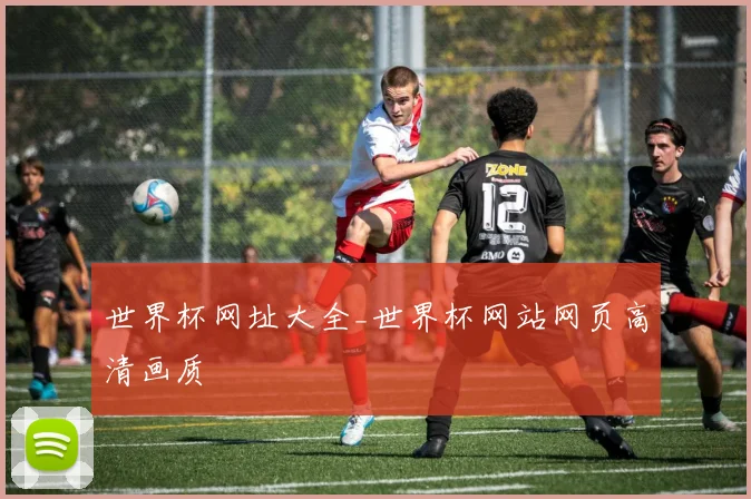 世界杯网址大全_世界杯网站网页高清画质