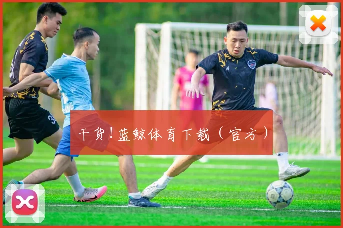 干货!蓝鲸体育下载（官方）