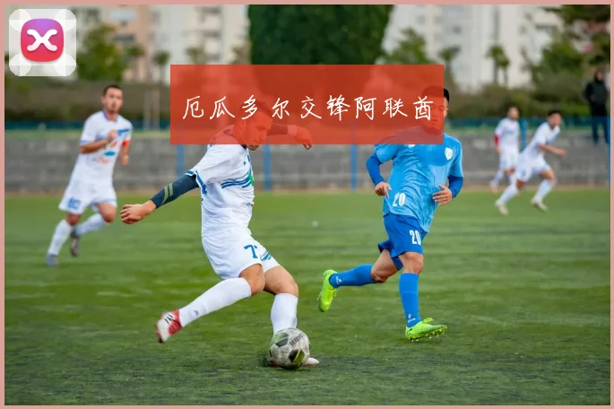 厄瓜多尔交锋阿联酋
