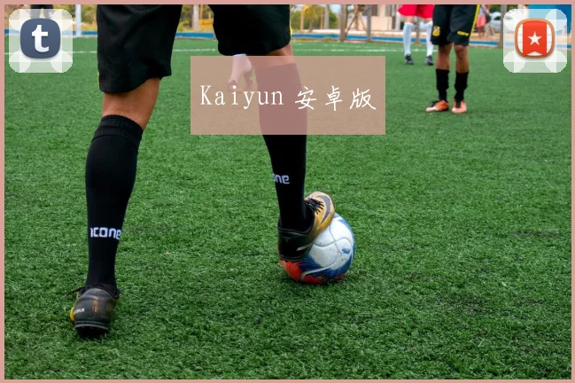 Kaiyun 安卓版