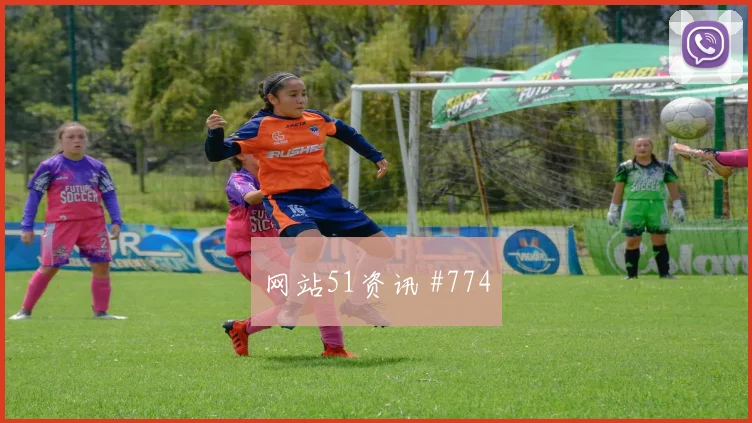 马蒂纳2026世界杯球迷关注度