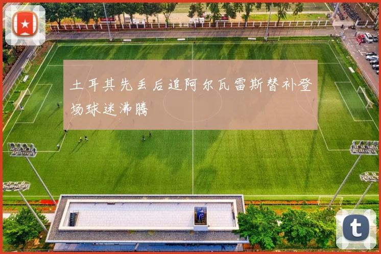 土耳其先丢后追阿尔瓦雷斯替补登场球迷沸腾