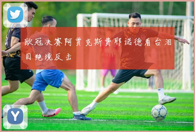 欧冠决赛阿贾克斯费耶诺德看台泪目绝境反击