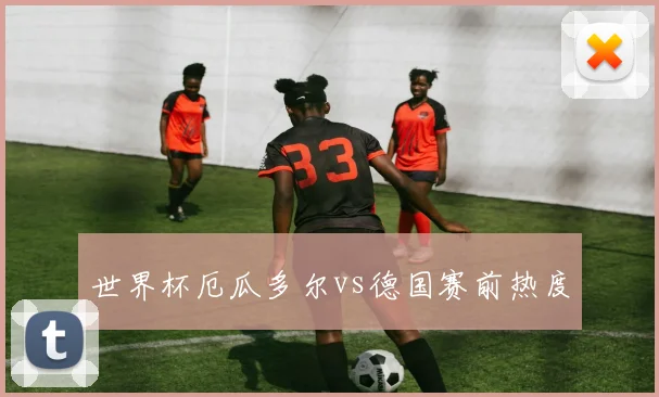 世界杯厄瓜多尔vs德国赛前热度